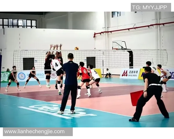 上海排球队荣登排球节奏排行榜第二名引发热议